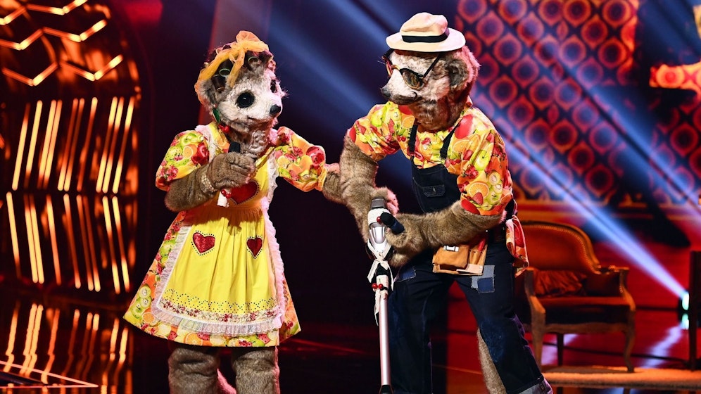 Das Erdmännchen-Paar schaffte es bis ins Finale.