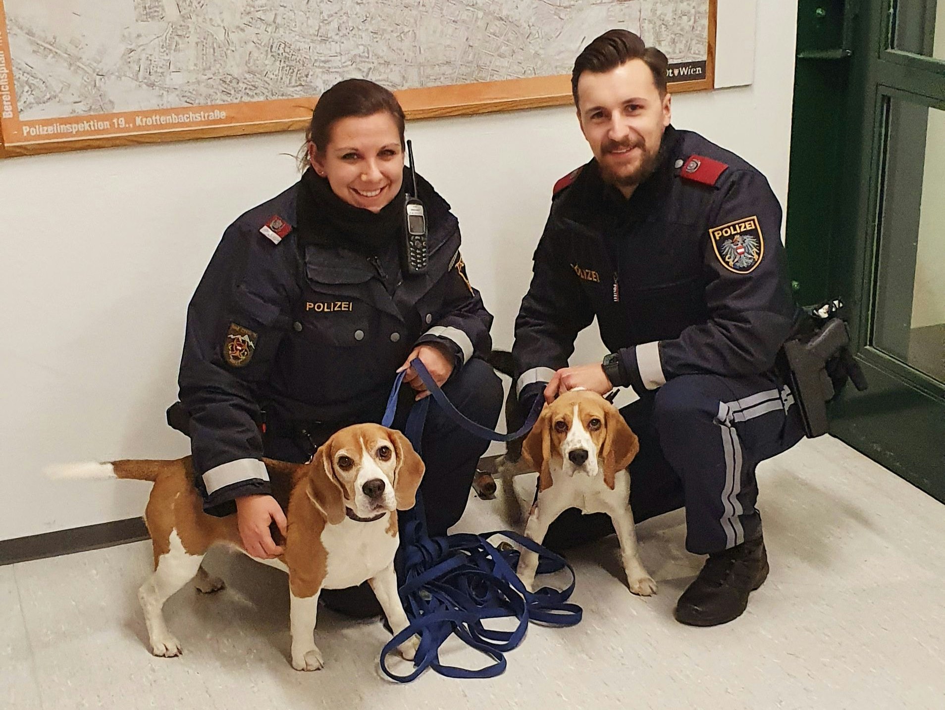Die beiden zuckersüßen Racker konnten auf der Höhenstraße (Döbling) eingefangen werden