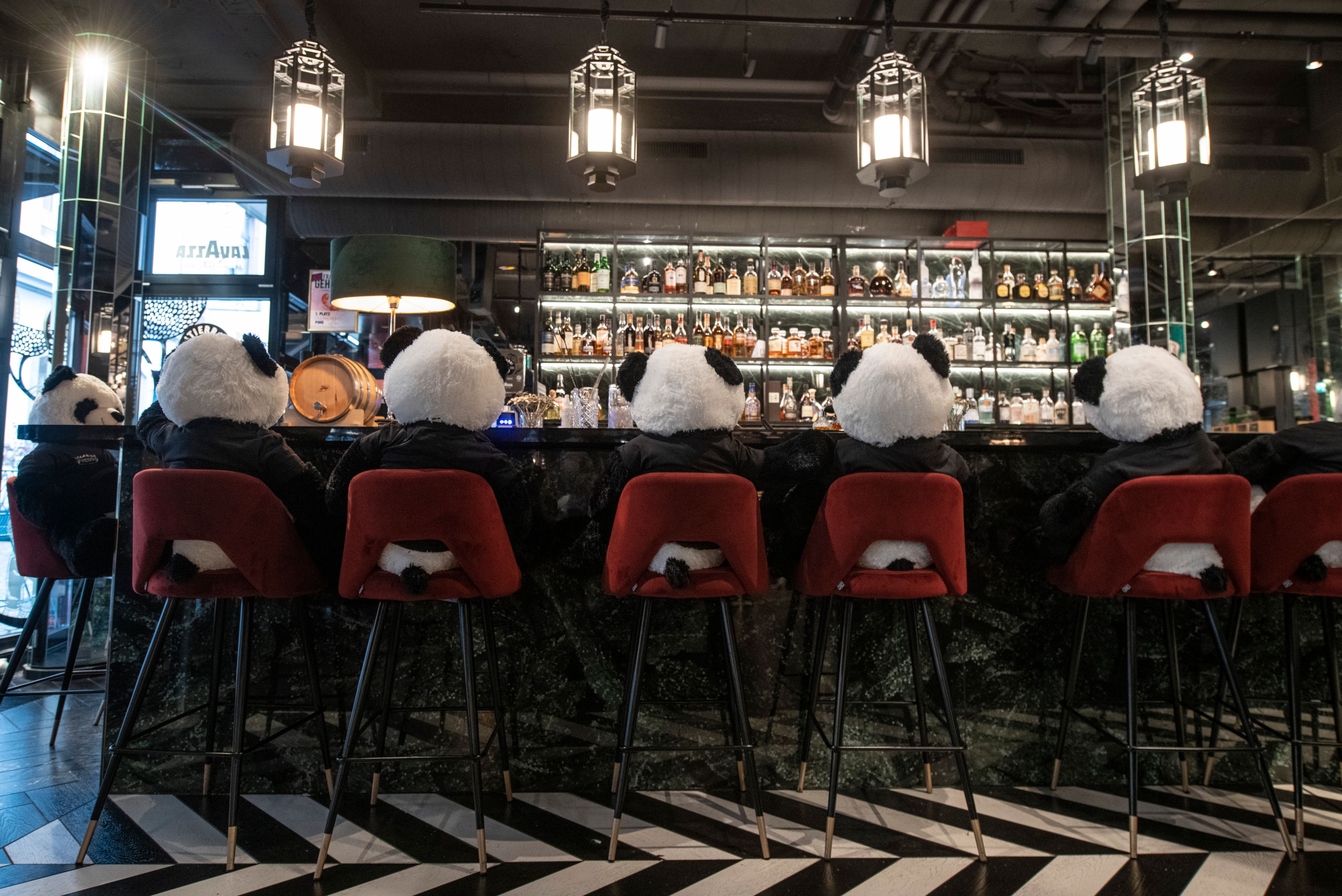 Schon ein sehr lustiges Bild geben die plüschigen Gäste an der Bar ab. 