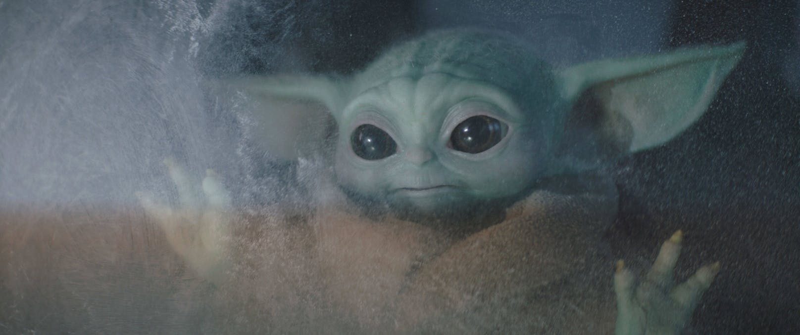 The Child alias Baby Yoda in "The Mandalorian"
