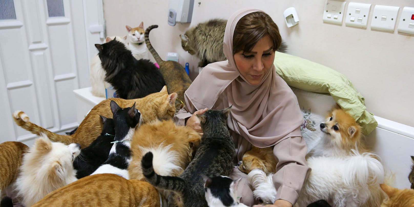 Die Omanierin Maryam Al Balushi gibt rund 6.500 Euro pro Monat für Tierarzt und Futterkosten aus. 