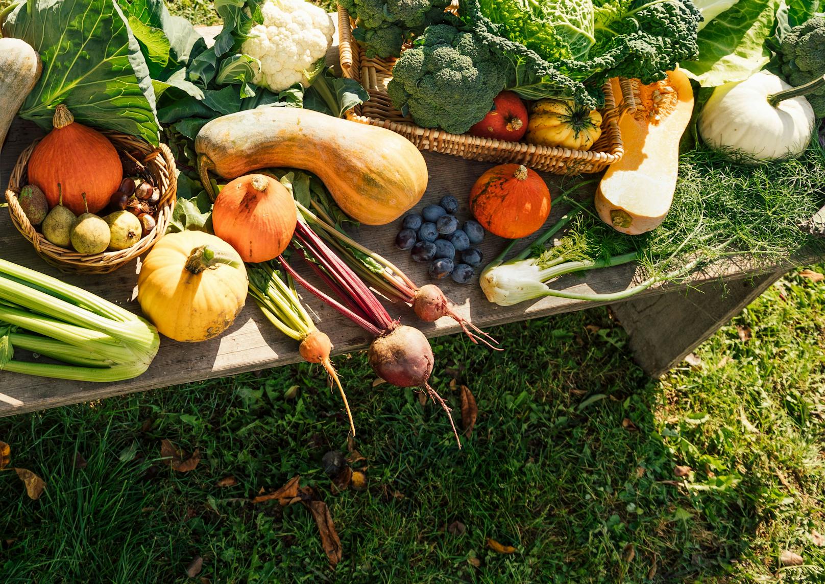 "Klar im Fokus stehen ausgezeichneter Service sowie Regionalität und Frische bei den Produkten", heißt es vom Unternehmen, das "regionale ProduzentInnen mit qualitativ hochwertigen (Bio)-Lebensmitteln" fördere.