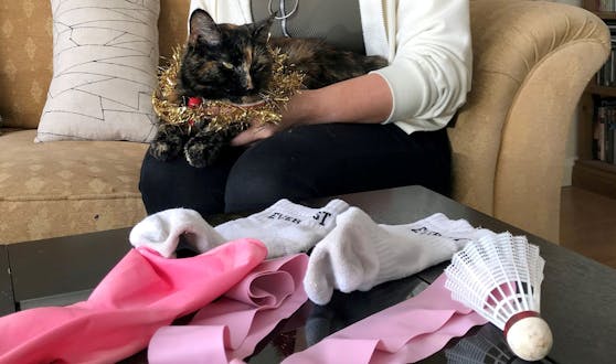 Katze "Kee Kee" klaut regelmäßig Dinge aus den Häusern der Nachbarn und bringt sie ihrem Frauchen.