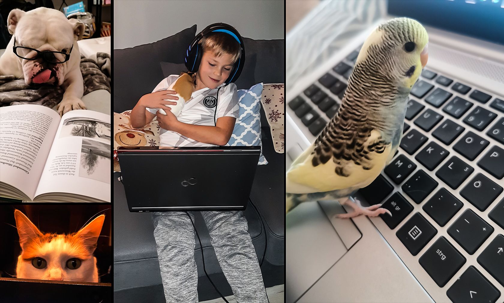 Uns haben super lustige Bilder erreicht - seht gleich selbst in unserer Bildergalerie