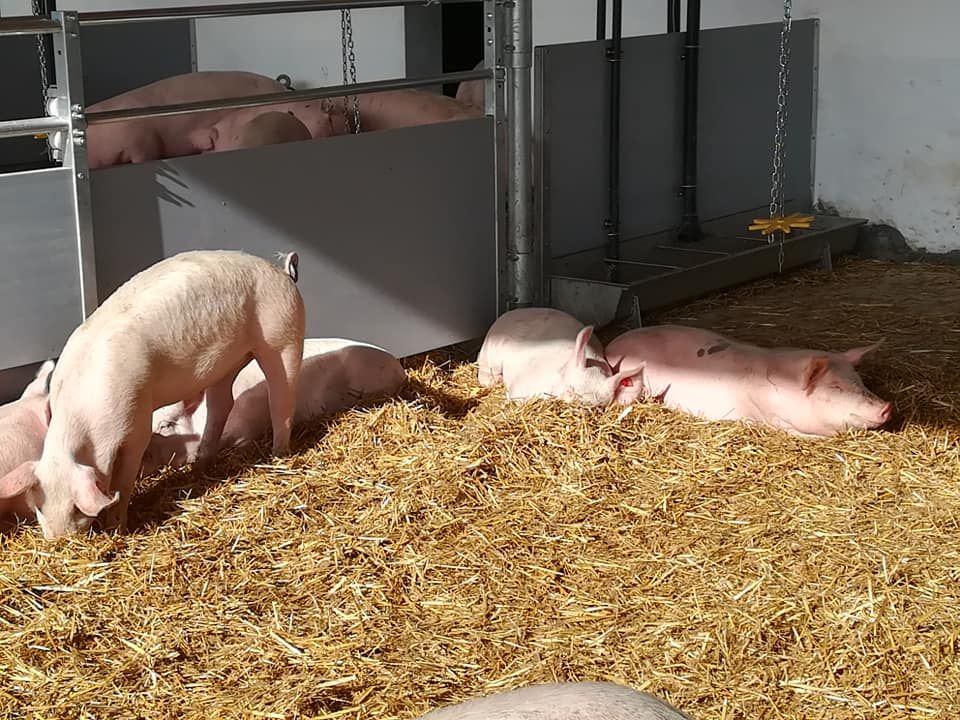 Es gibt auch viele positive Seiten an der Landwirtschaft.