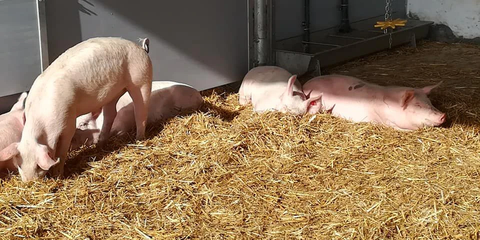 Es gibt auch viele positive Seiten an der Landwirtschaft.