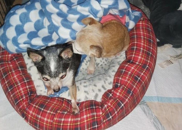 Sissy (re.) hat endlich ihre Schwester wieder zurück.