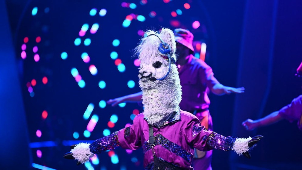 Ja wer ist denn das Alpaka?