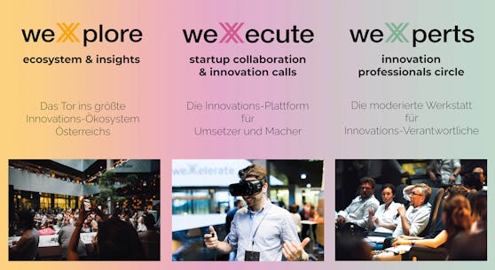 Die drei neuen weXelerate Programme im Überblick.