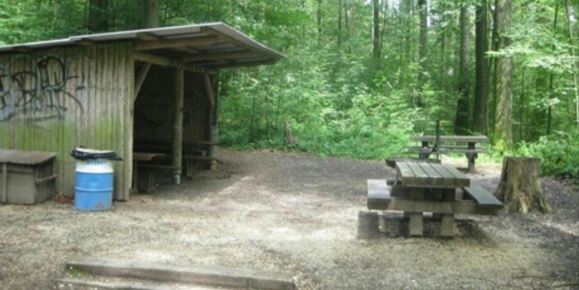 Im Oltner Bannwald (Schweiz) kam es am Sonntag zu einem Gewaltdelikt.