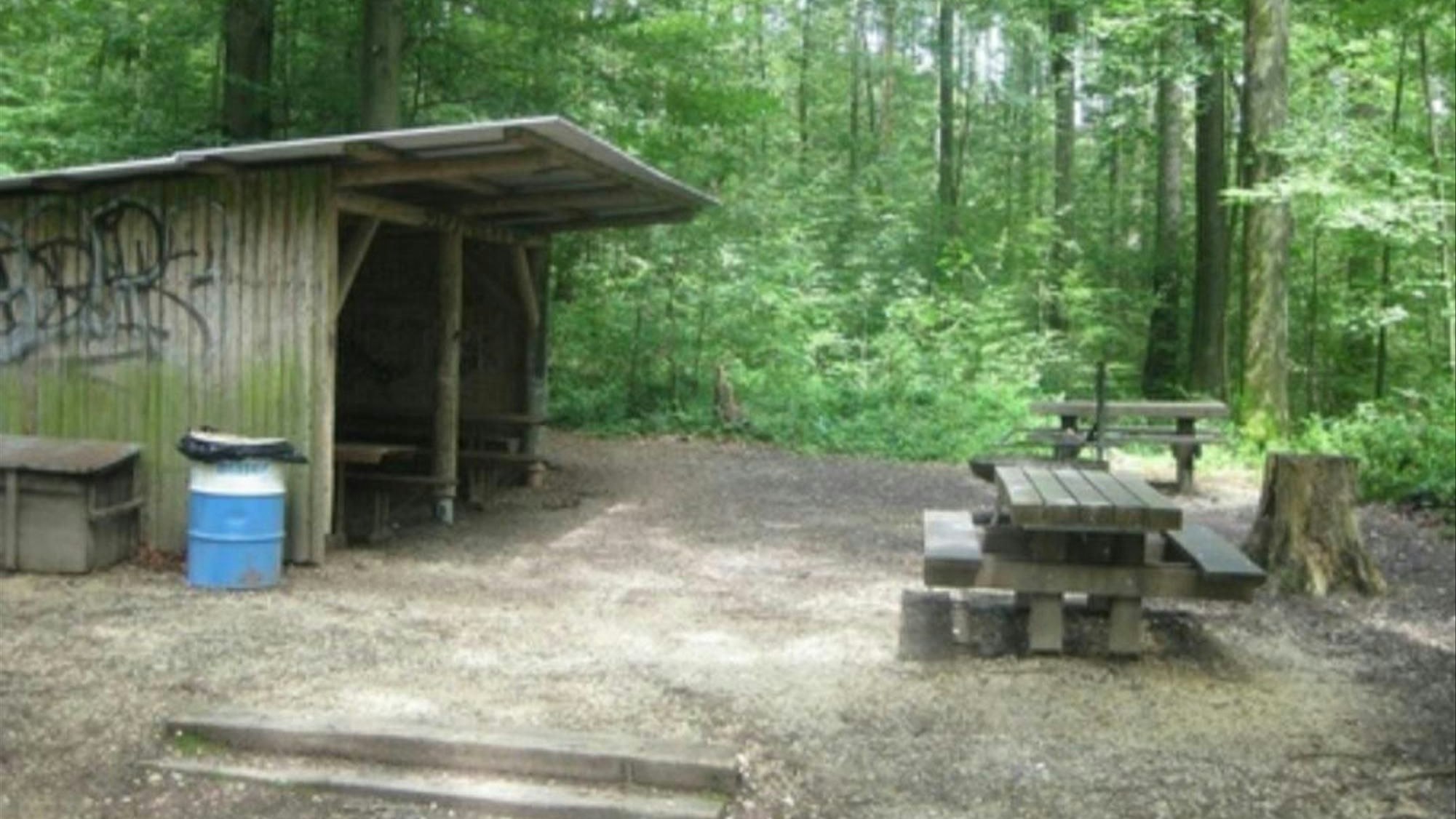 Heute.at - Messermann verletzt 14-jähriges Mädchen in Wald schwer