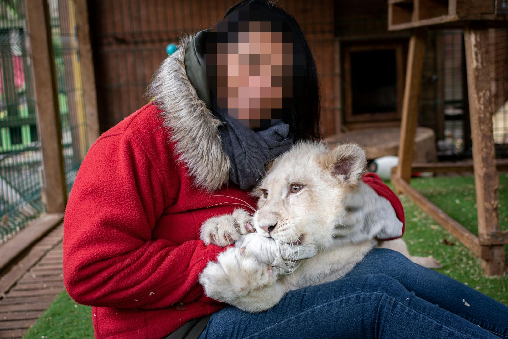Mit Löwenbaby knuddeln und Fotos machen... Das war die Masche des "Tierschutzzentrums". 