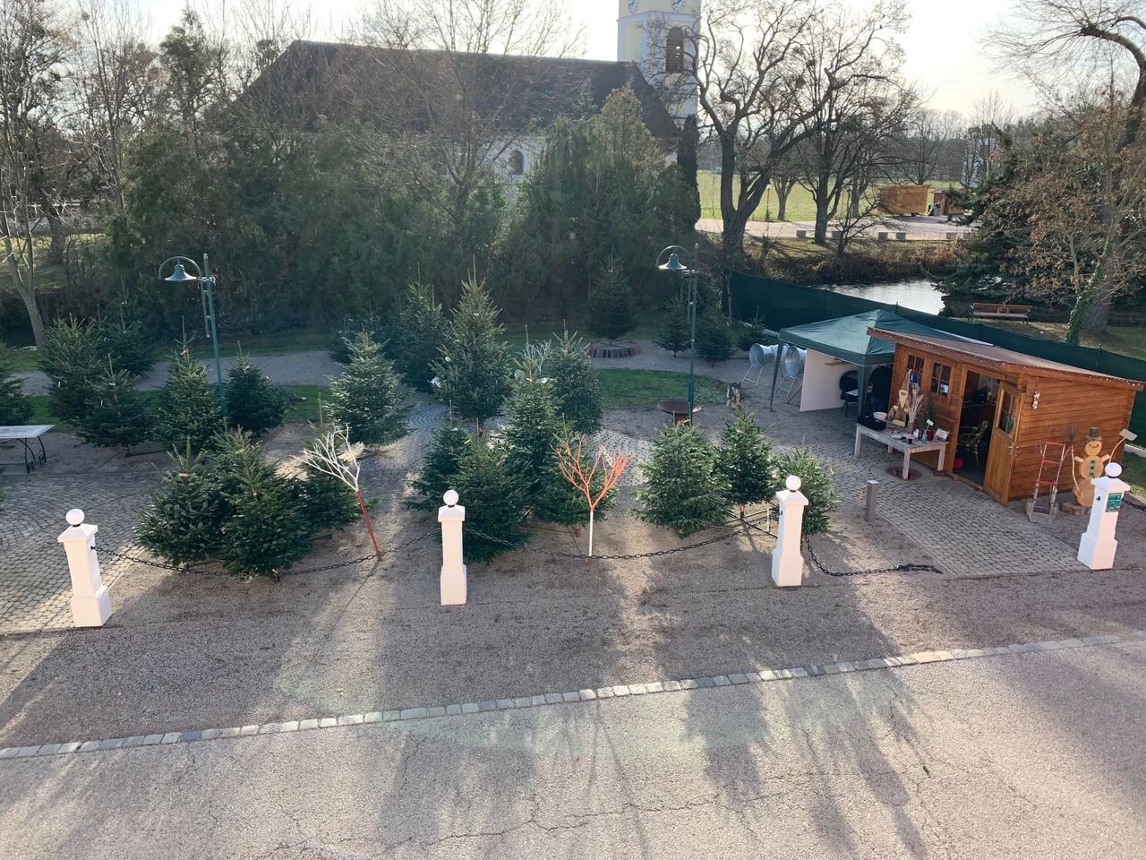 Hier werden die Christbäume angeboten.