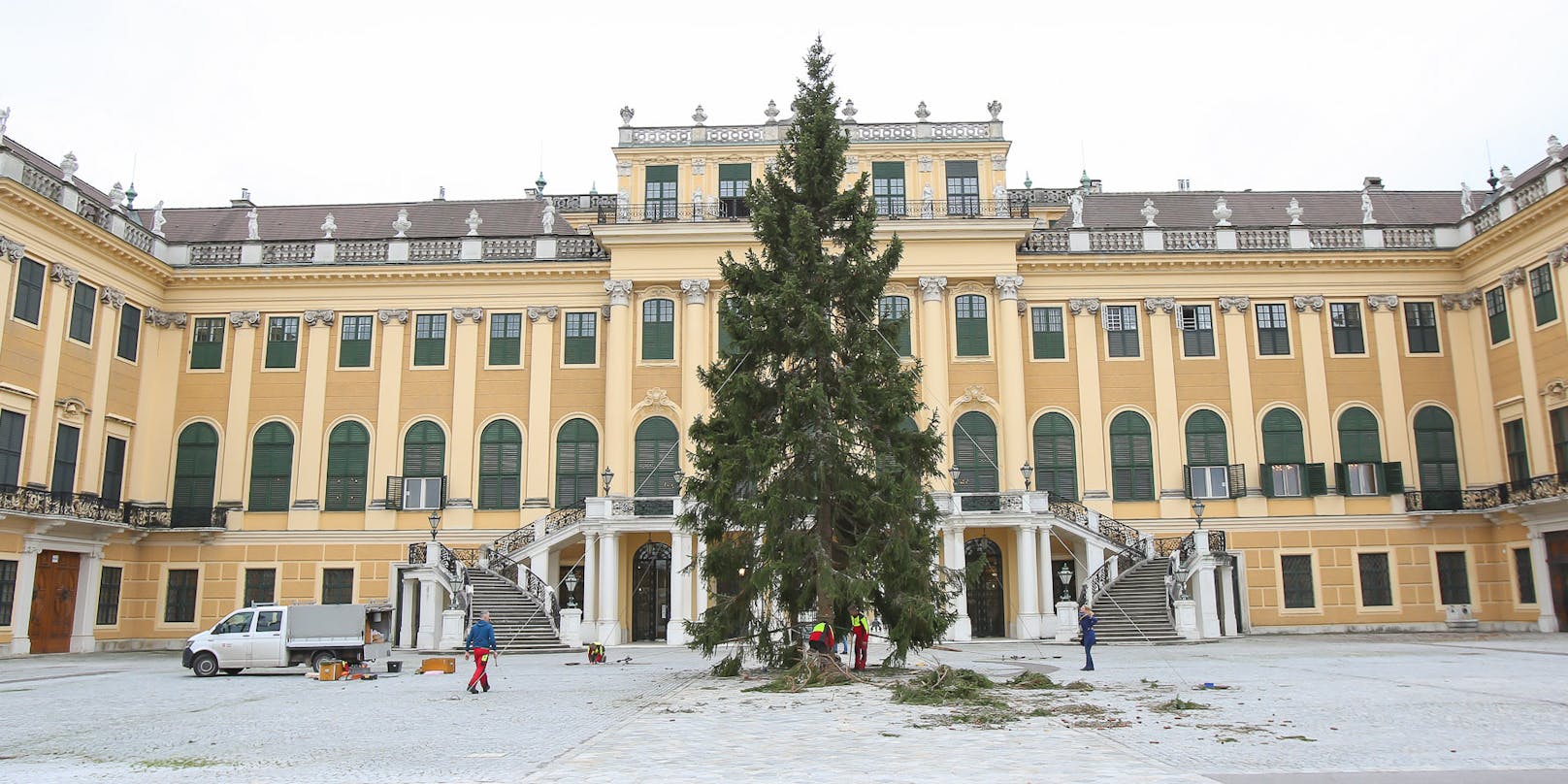 Der Weihnachtsbaum vor dem Wiener Schloss Schönbrunn steht schon 