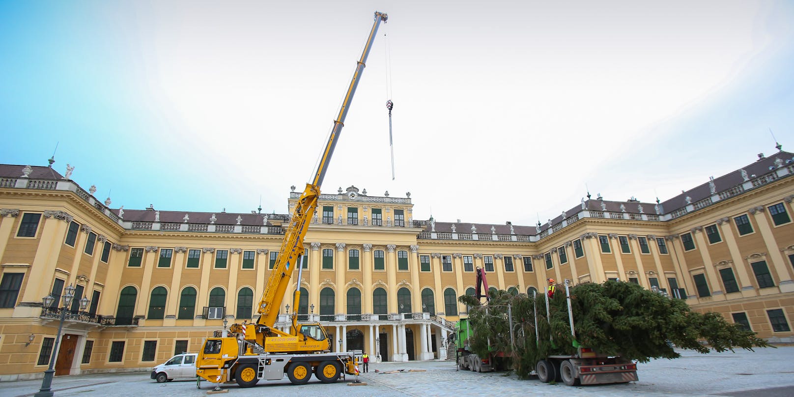 Der prächtige Baum wurde aus der Steiermark nach Wien gebracht.