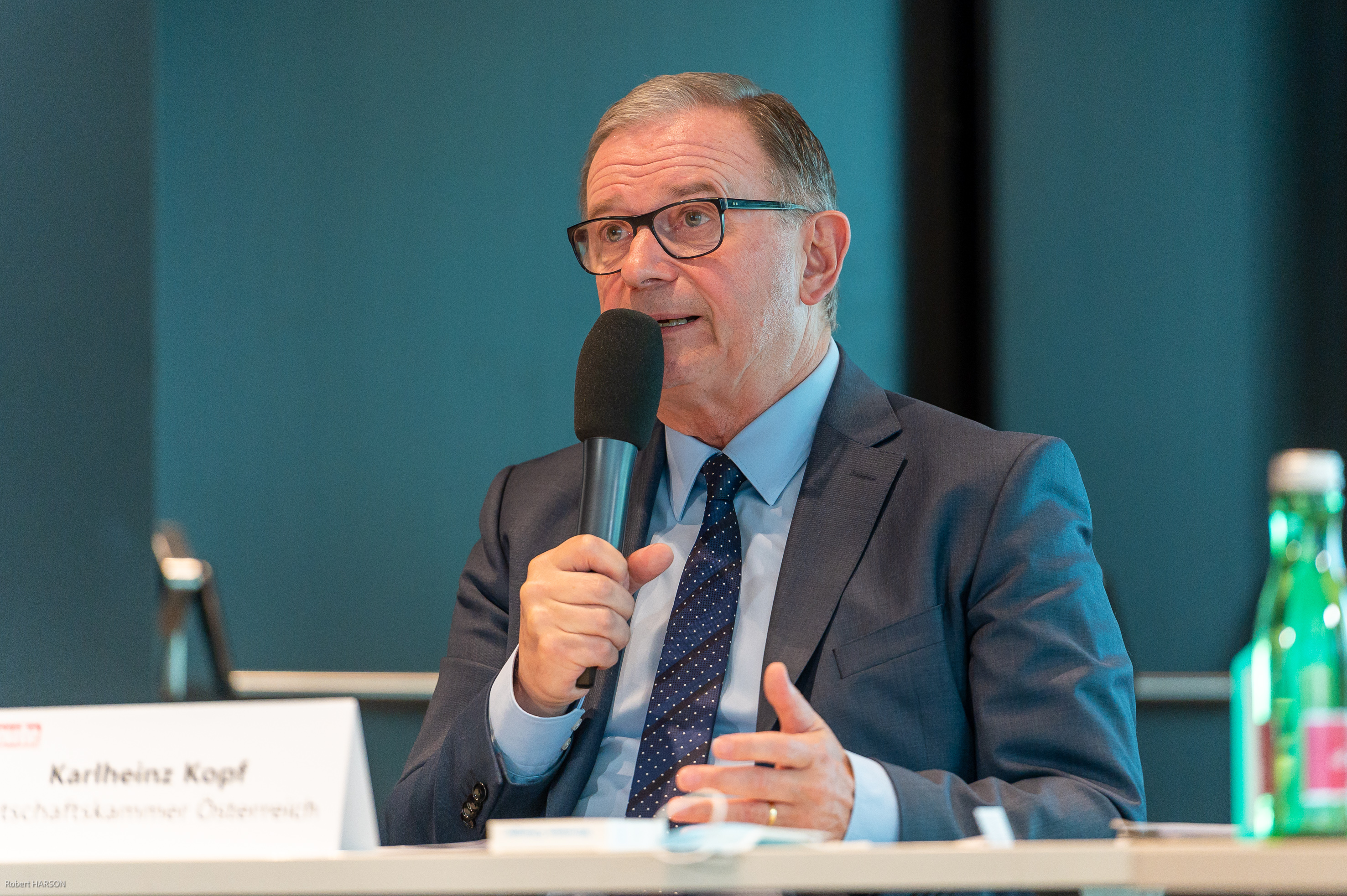 Karlheinz Kopf, Wirtschaftskammer