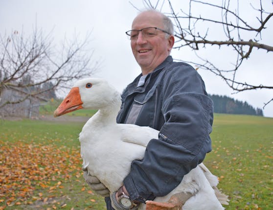Gansl-Züchter Rupert Wiesinger mit einer seiner Biogänse.