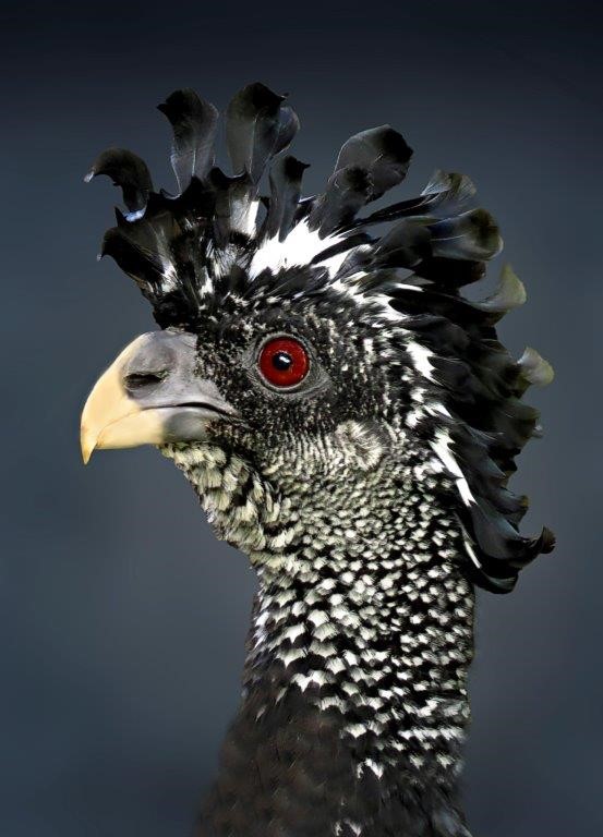 Zahlreiche Einsendungen wurden prämiert.