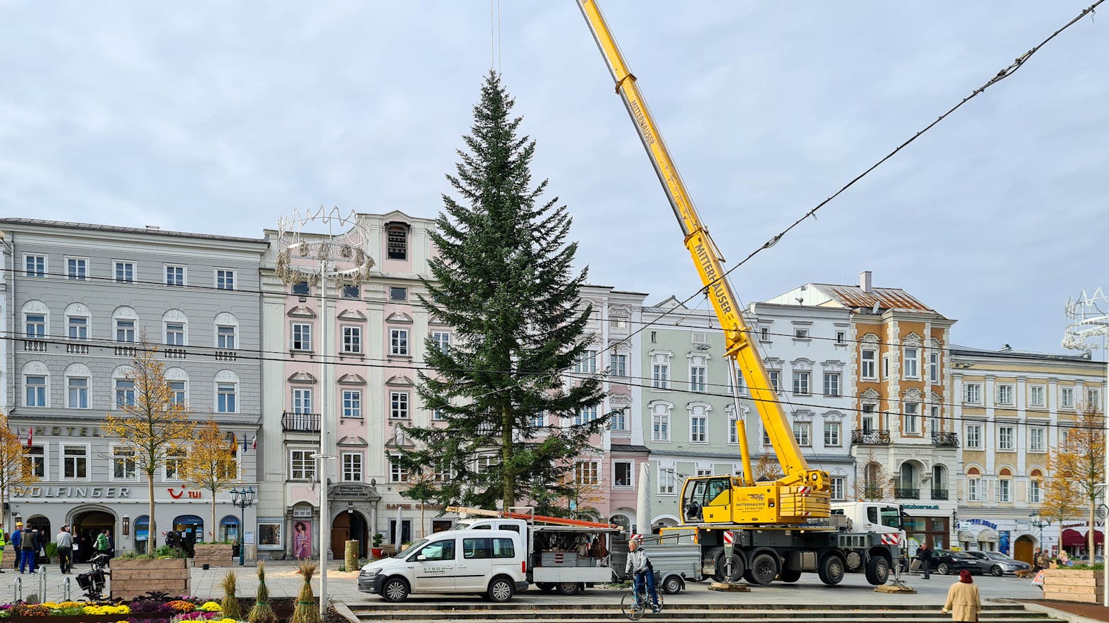 Am Donnerstagvormittag wurde die 26-Meter hohe Tanne am Linzer Hauptplatz aufgestellt.
