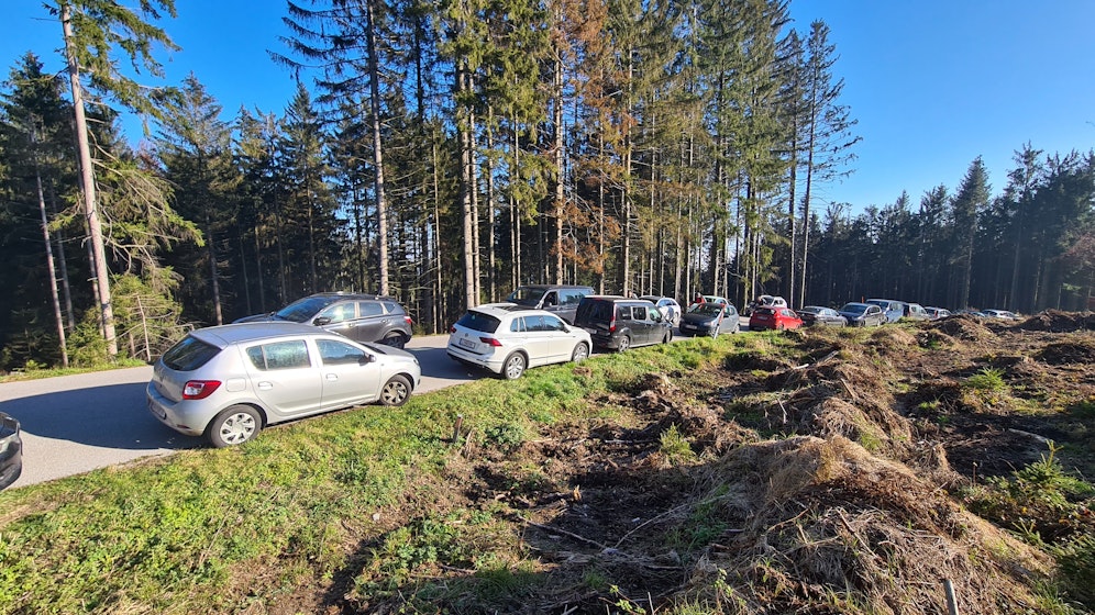 Ein riesen Griss um die Gis. Am Wochenende wollte viele Oberösterreicher noch einmal Sonne tanken.