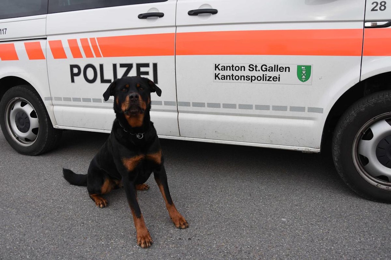 Heute.at - Polizeihund findet Chicken Nuggets, nicht aber den Räuber