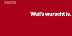 KURZ trumpt jetzt: "Haben Wien-Wahl gewonnen!"