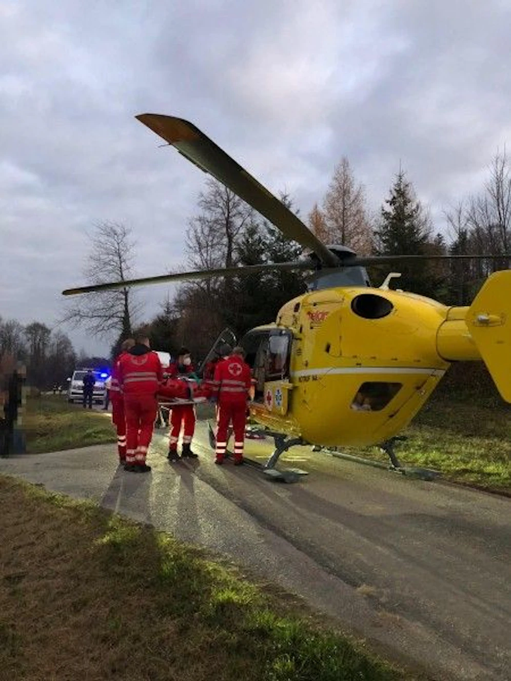 Ein Forstarbeiter wurde schwer verletzt.