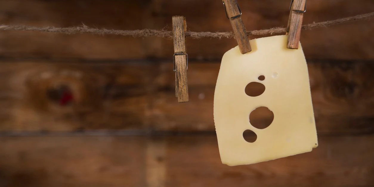 Eine Scheibe Emmentaler