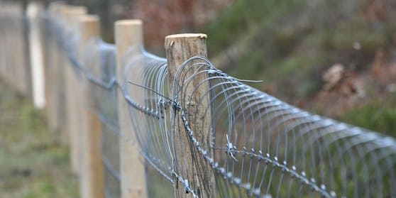 Schutzzäune rund um einen Seuchenherd der Afrikanischen Schweinepest (ASP) in Brandenburg, Deutschland