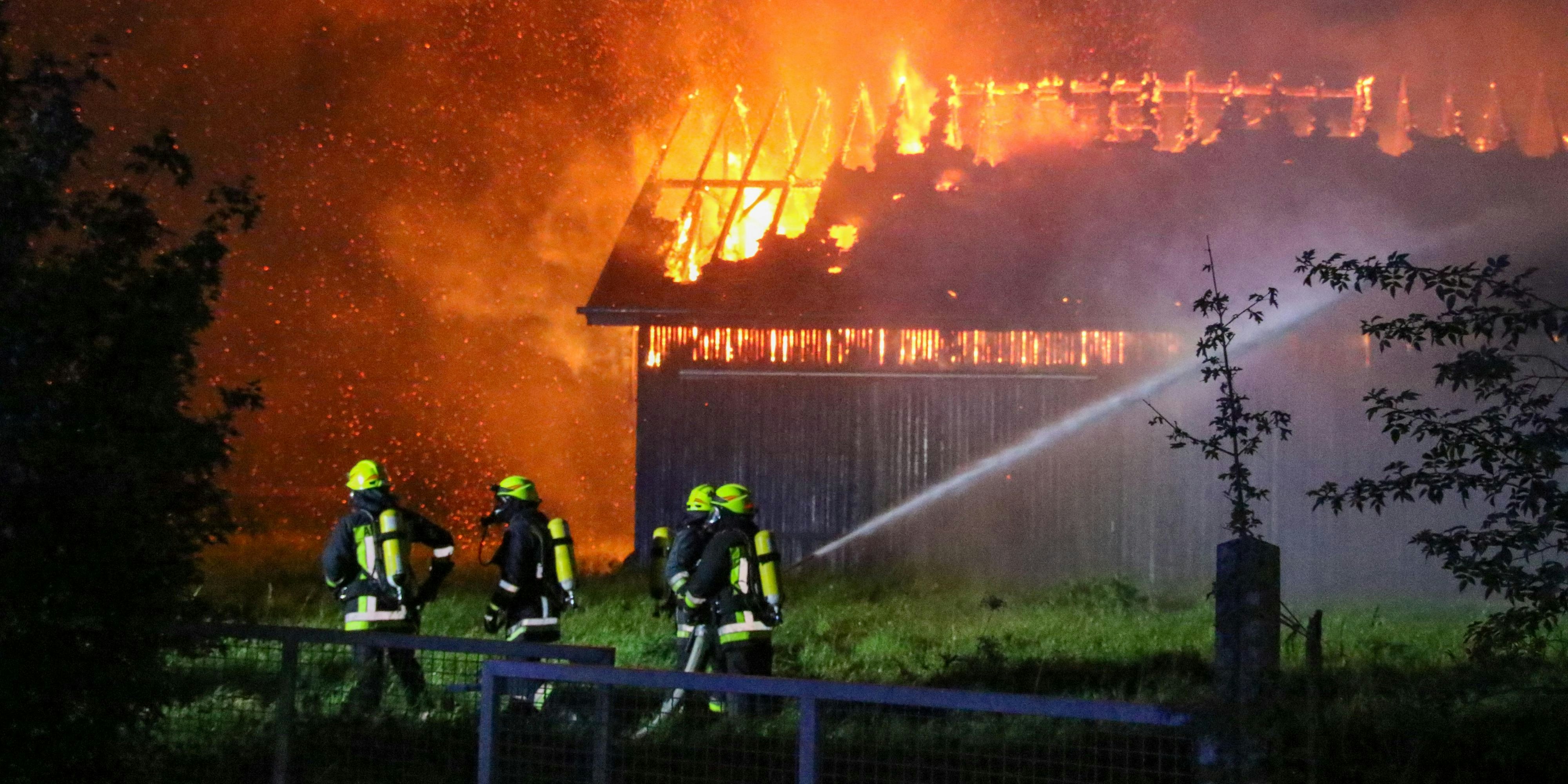 Bei dem Brand starben auch zahlreiche Tiere. Symbolfoto. 