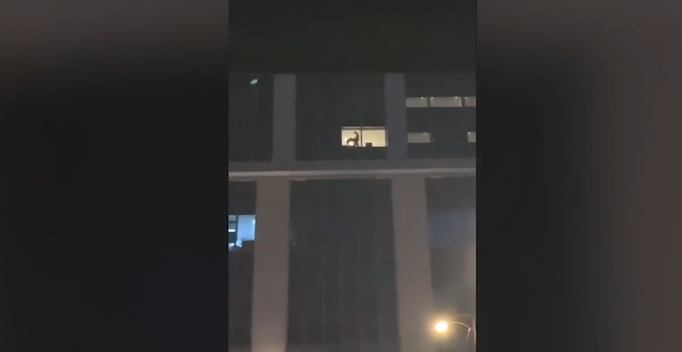 Oben vergnügte sich ein Paar, unten vor dem Hotel filmten Gaffer mit.