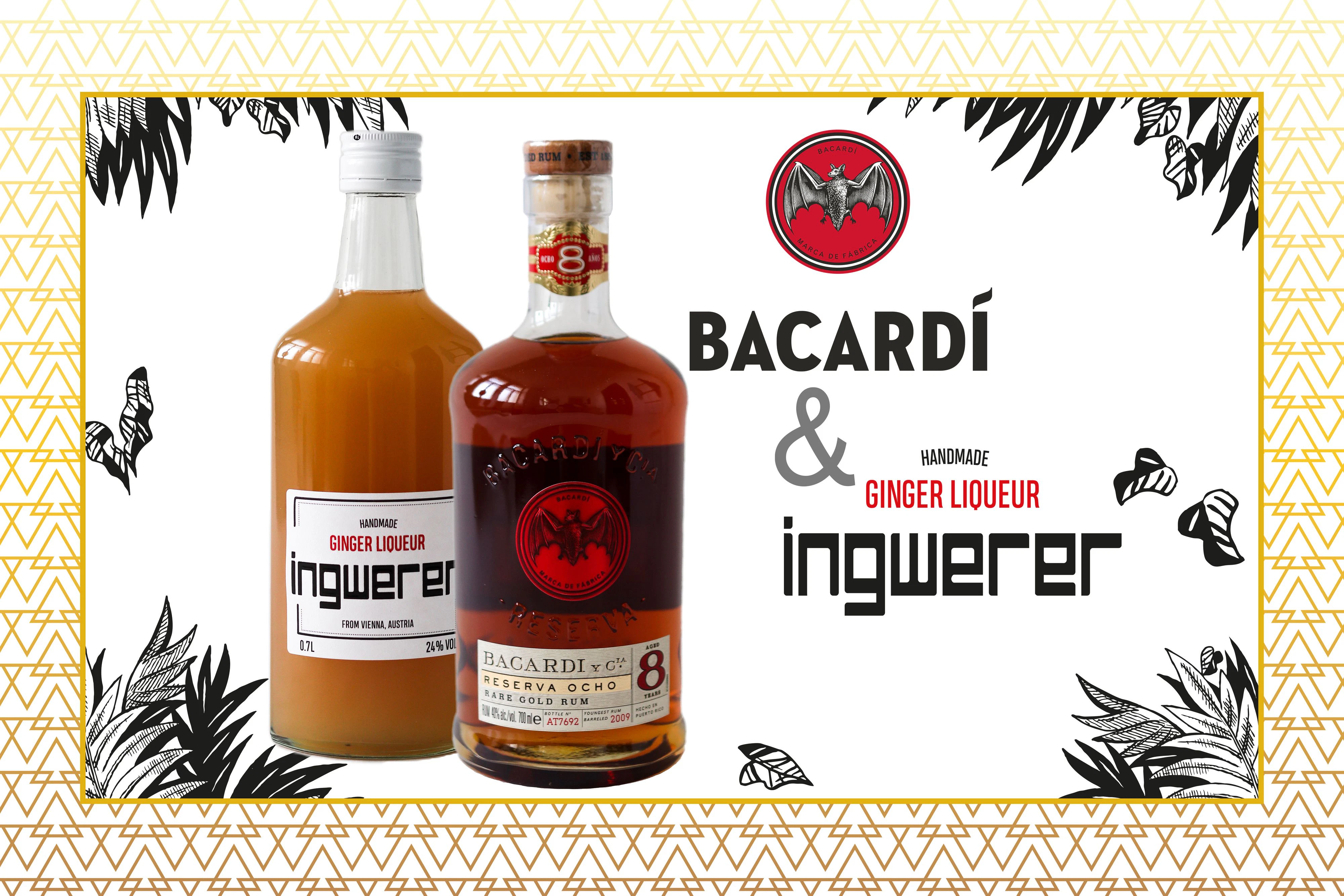 BACARDÍ & Ingwerer Hot Cocktail Package