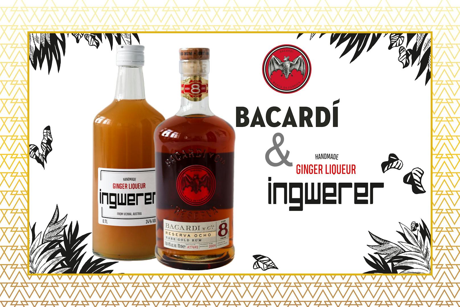 BACARDÍ &amp; Ingwerer Hot Cocktail Package