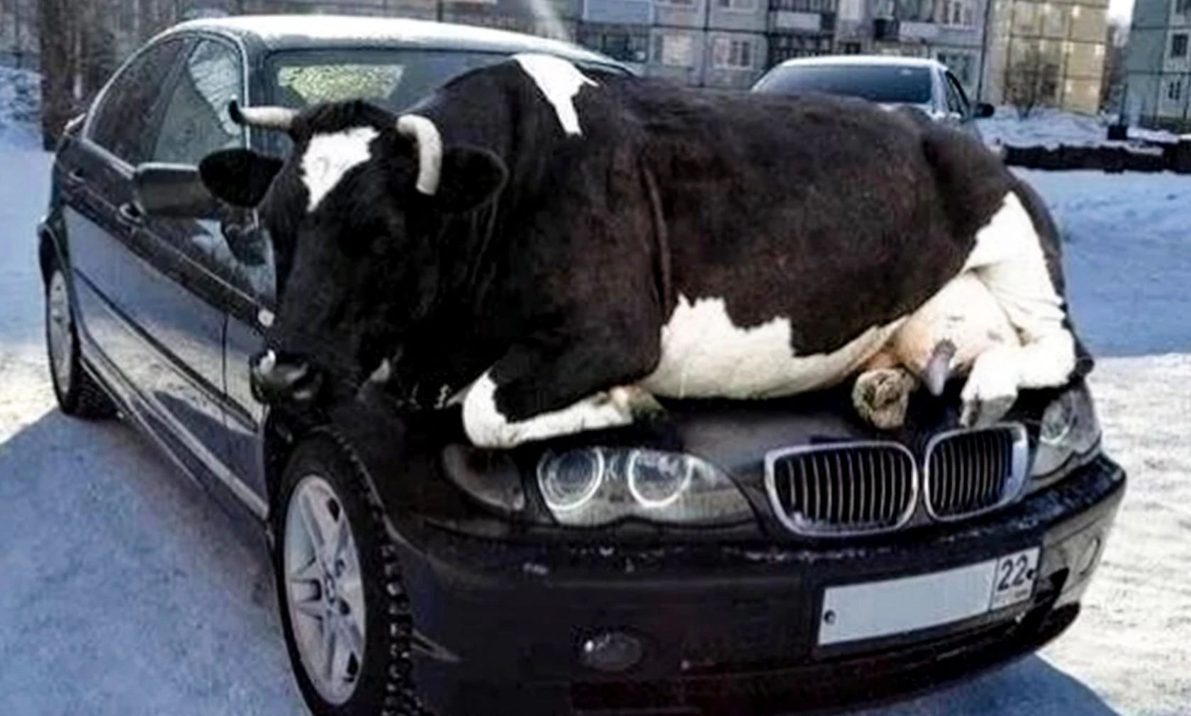 Mit humoristischen Tweets, weisen die Gendarmen in den Vosgen auf Alltags-"Hopplas" hin.