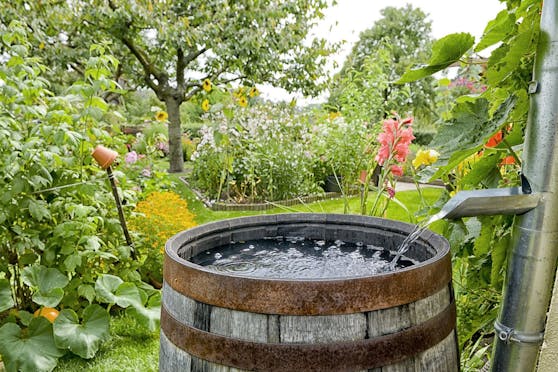 Eine Regentonne im Garten hilft dabei, den Wasserbedarf für die eigene Grünoase auf eine etwas nachhaltigere Art und Weise zu befriedigen.