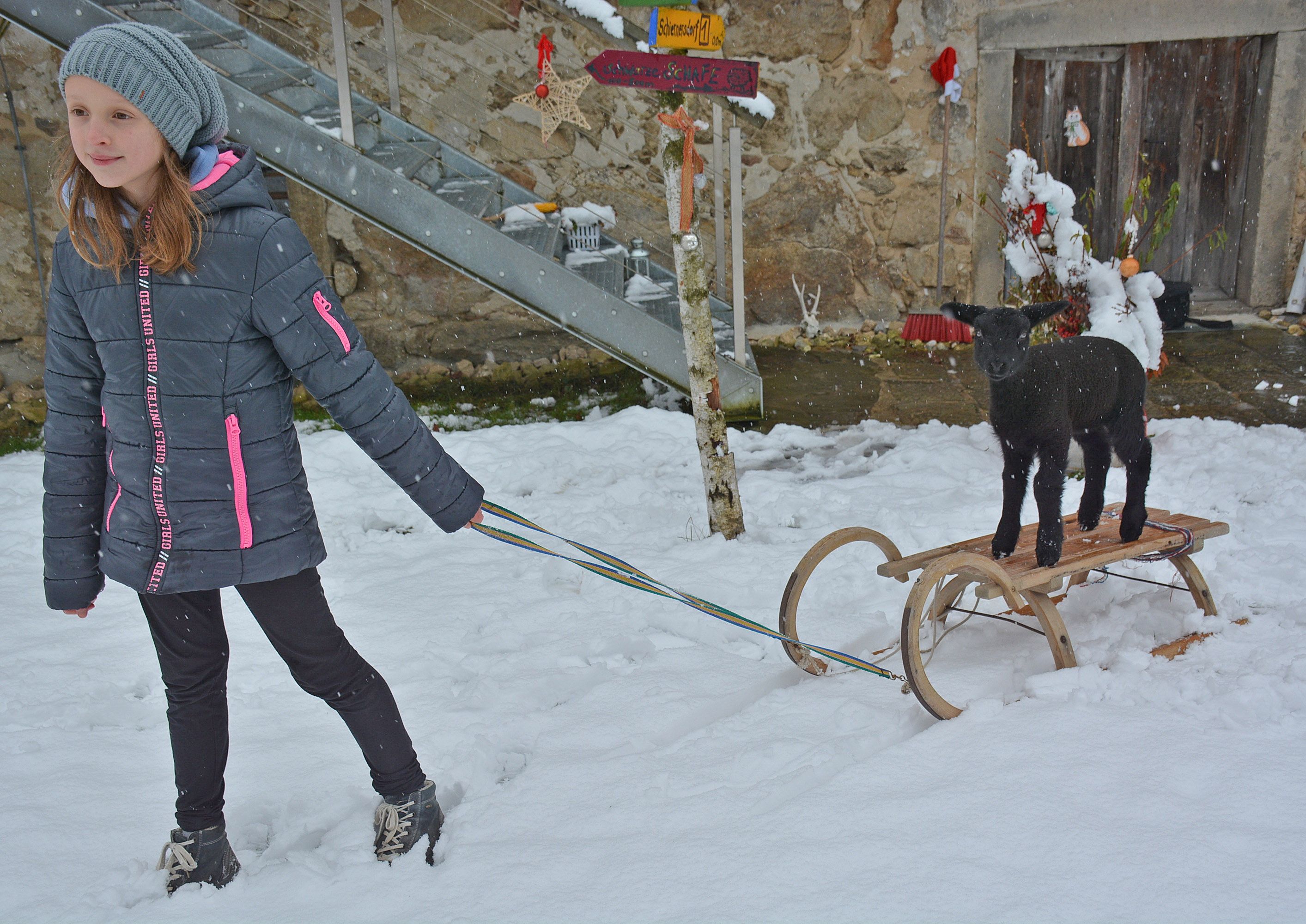 Der kleine Theo will überall dabei sein,