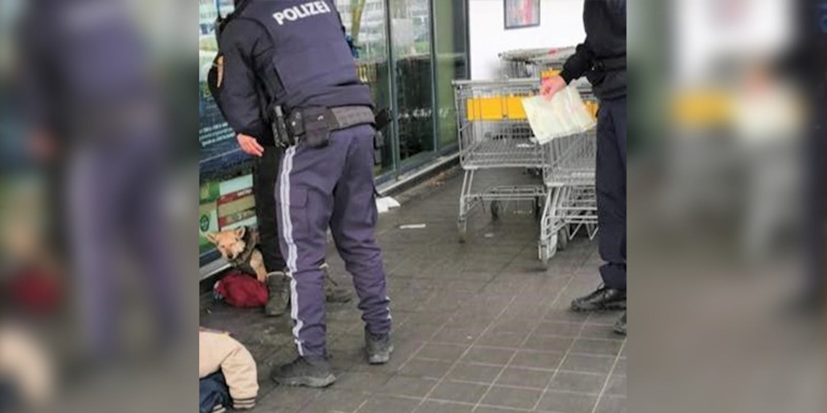 Die Wiener Polizei griff ein.
