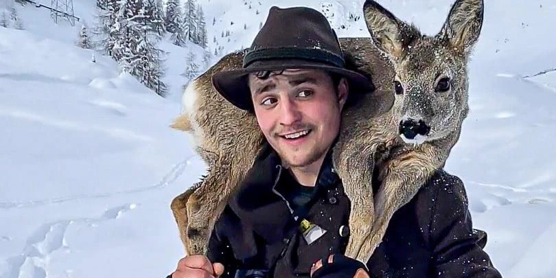 Rehe werden aus dem Schnee gerettet.