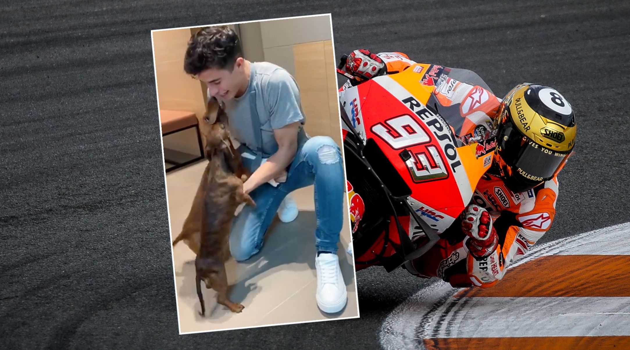 Marc Marquez mit den Hunden seines Bruders