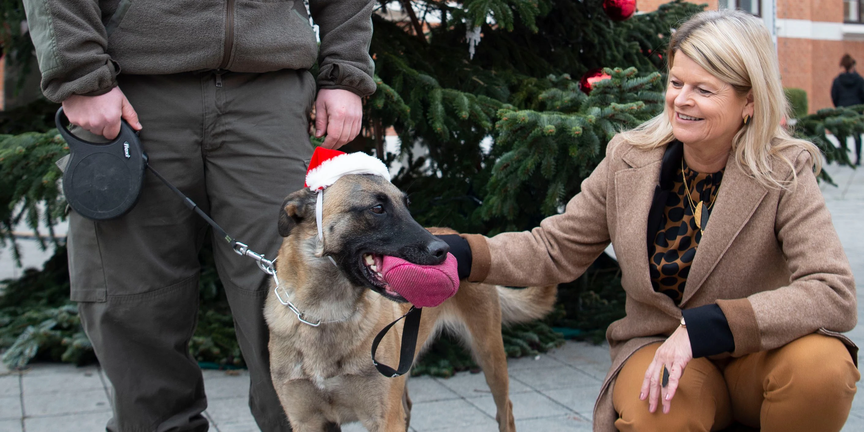 Verteidigungsministerin Klaudia Tanner mit Corona-Spürhündin "Fantasy Forever" am 14. Dezember 2020