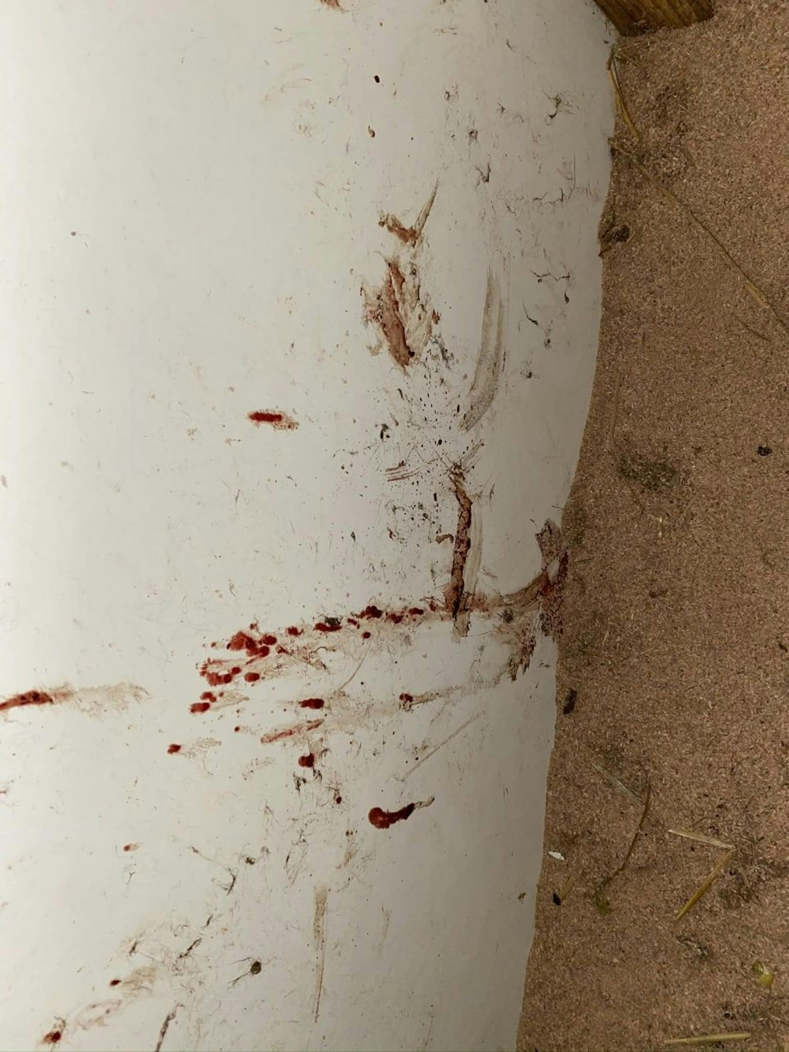 Blutspritzer von den erschlagenen Tieren.