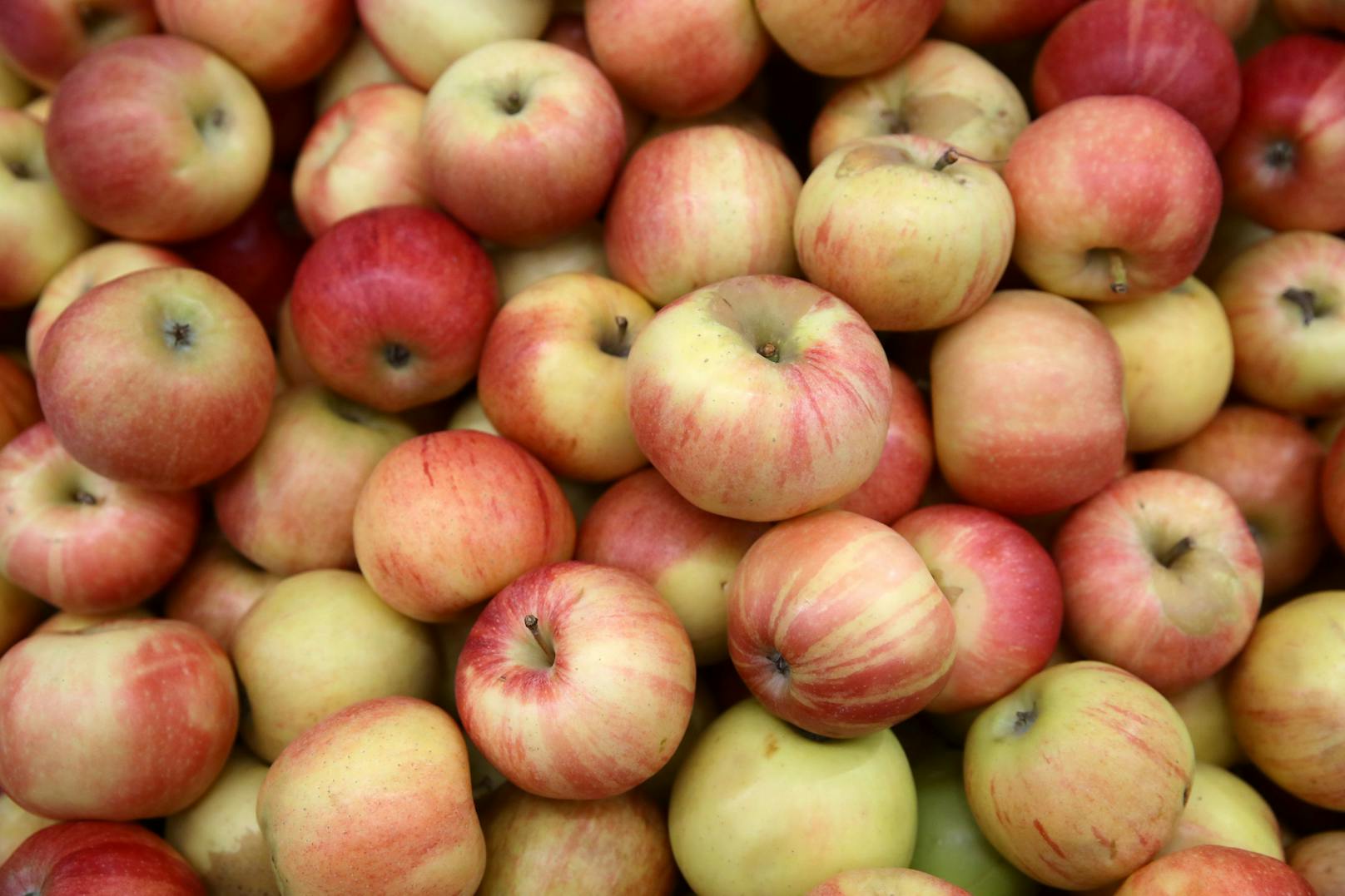 Der Obstbauer hatte dem Finanzamt Apfellieferungen ins Ausland gemeldet, die aber nie stattgefunden haben.