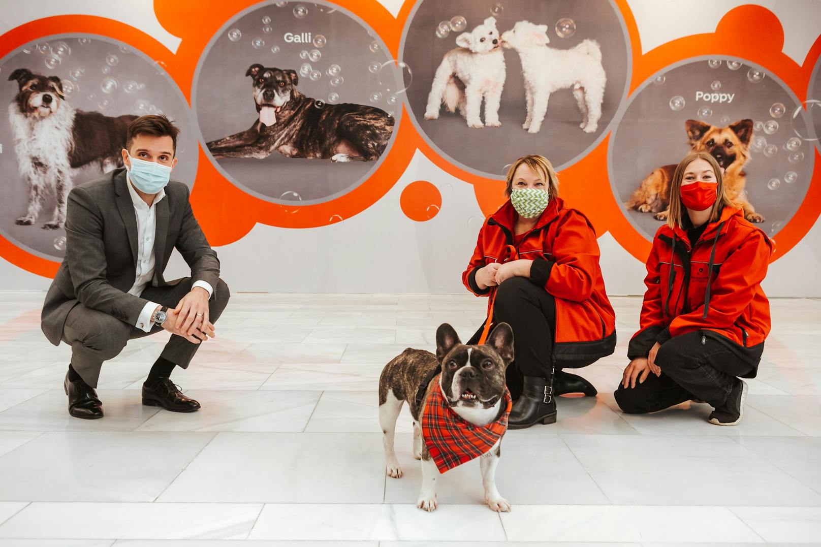 Tomáš Urbanovský (Center Manager SCS), Bulldogge Bela, Daniela Waller und Michaela Schmidinger ( Team Fundraising Tierschutz Austria)