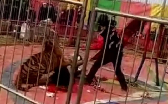 Ein Video des Vorfalls kursiert in den Medien.