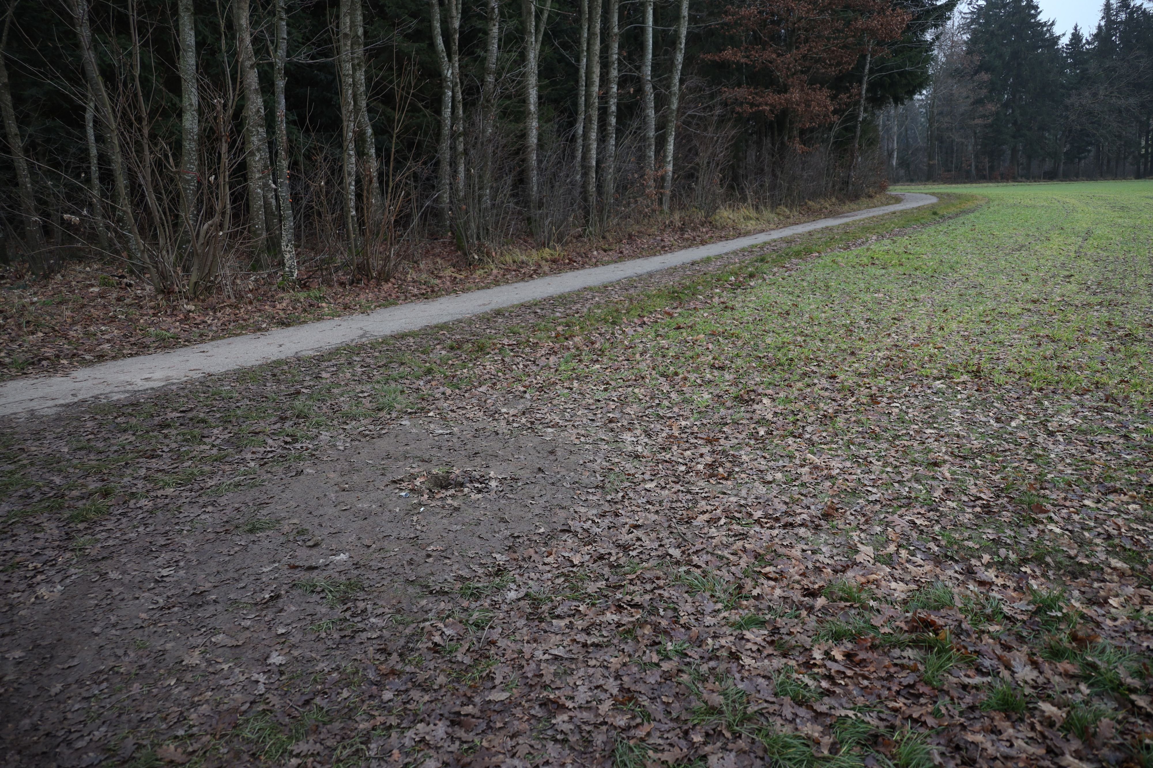 Hier stand der Monolith. Der Grundbesitzer montierte ihn ab und lagerte ihn bei sich zu Hause ein.