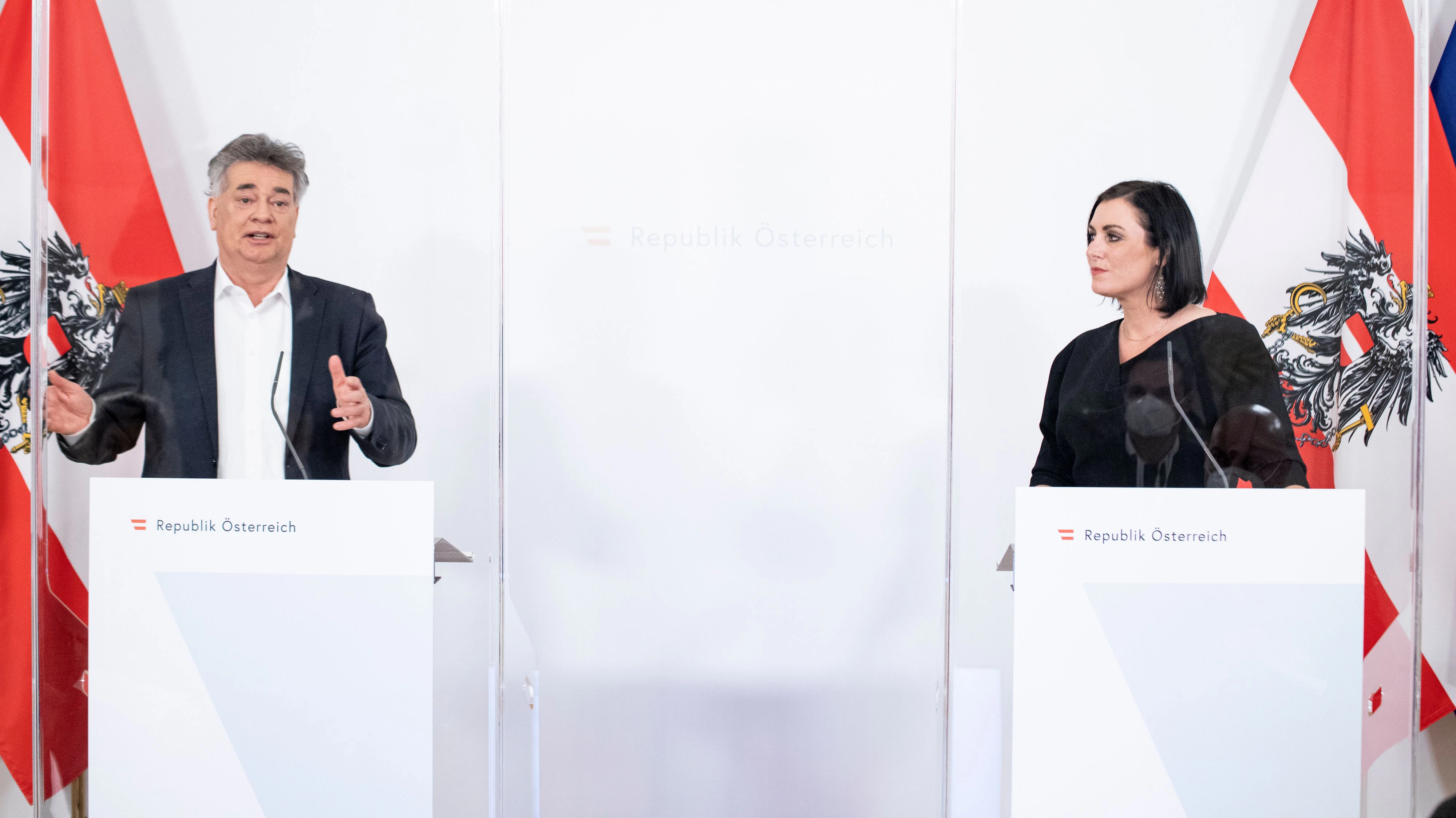 Werner Kogler und Elisabeth Köstinger