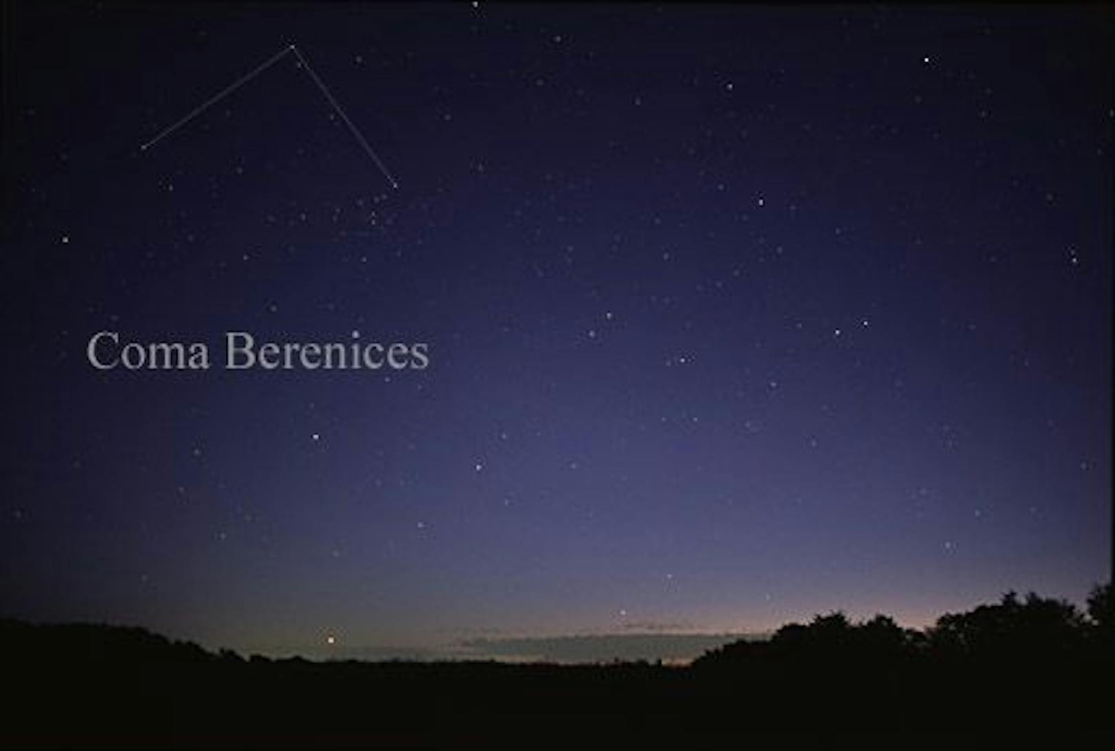 Einer Theorie nach entstand der Weihnachtsstern bei einer Supernova im Sternbild Berenike.