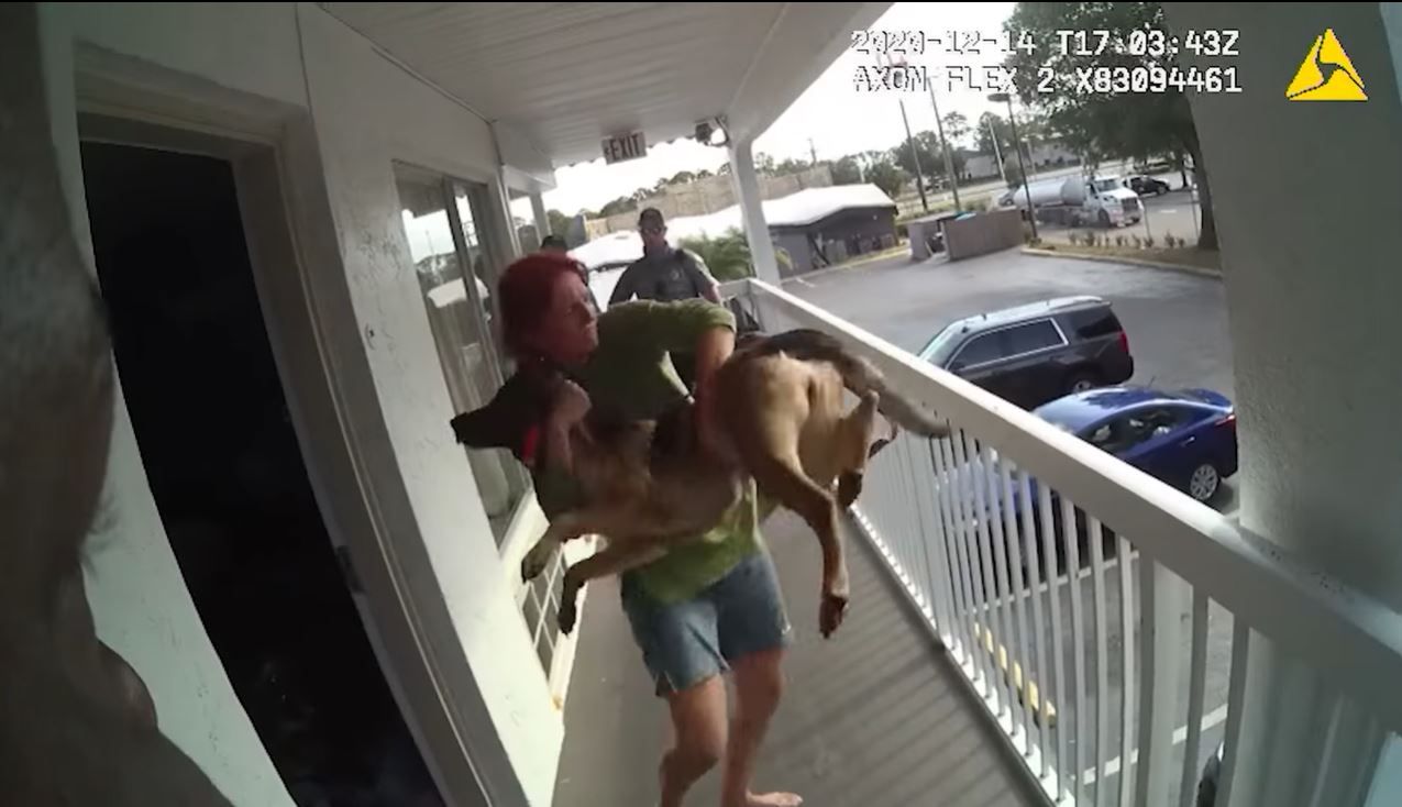 Wie viele Sicherungen sind dieser Dame wohl durchgebrannt? Sie warf einfach den Schäferhund vom Balkon. 