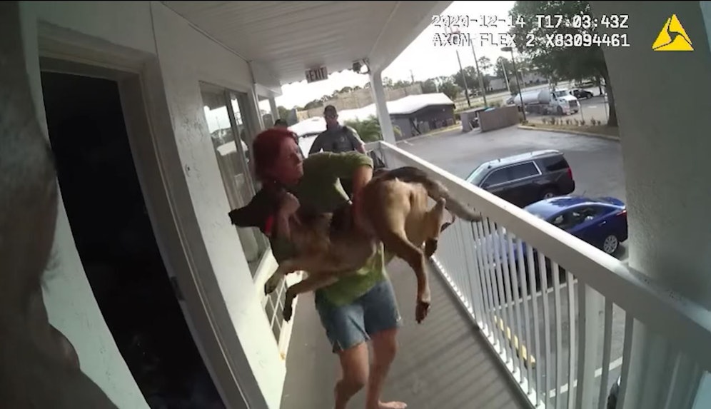 Wie viele Sicherungen sind dieser Dame wohl durchgebrannt? Sie warf einfach den Schäferhund vom zweiten Stock.