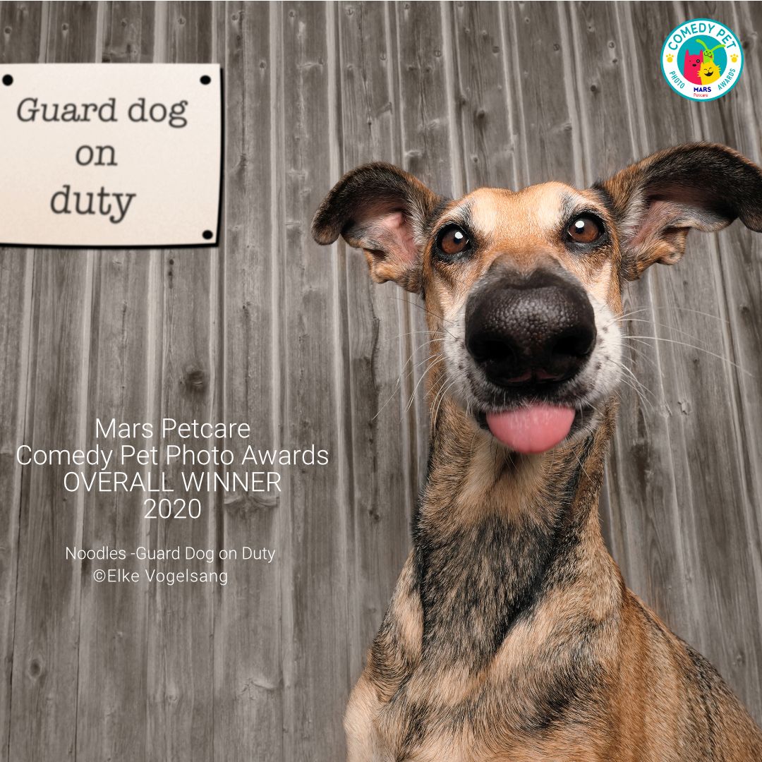 Die deutsche Fotografin Elke Vogelsang darf sich über den "Over-All"-Sieg und ein Preisgeld von 3.000 Pfund freuen. 